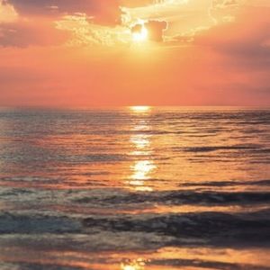 Meet your Posher, Avat._